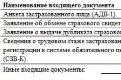पॉलिसीधारकाने रशियन फेडरेशनच्या पेन्शन फंडात हस्तांतरित केलेल्या माहितीची यादी (फॉर्म ADV-6-2)