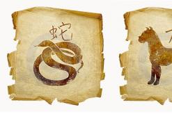 Znakovi zodijaka: Pijetao i Zmija - kompatibilnost dugi niz godina