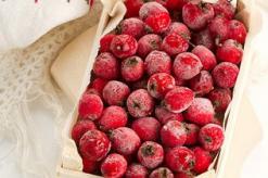 Hawthorn: the best recipes for winter preparations